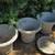 Yard Art -  fossils, petrified wood, saguaro cactus skeleton, ironwood 14 thumbnail