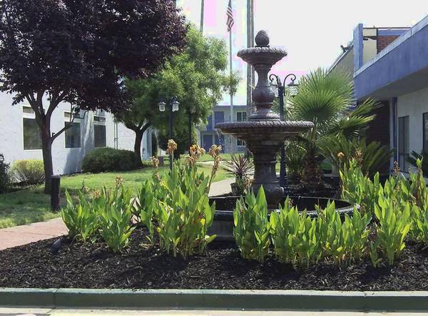 $550 / 1br - NEW WEEK RATE - Only 550 for 7 Days! - Multilingual, Pool, WiFi, Cable (Sacramento)63961339833730121