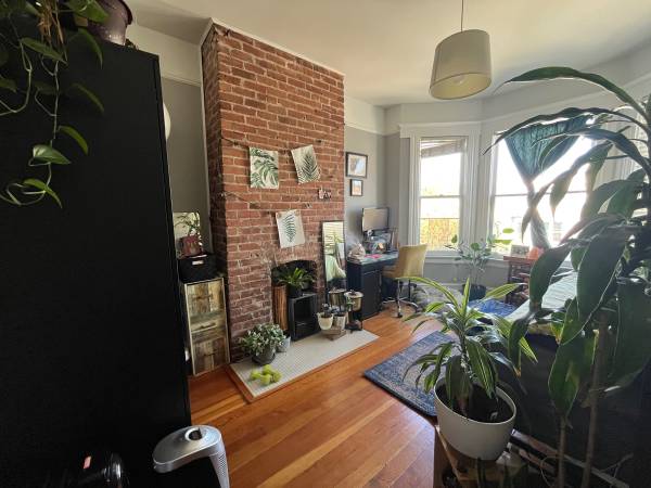 $1,100 / 3br - 2 sunny rooms available in 3bdrm Mission apartment (mission district)63847023444611123