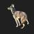 Australian Kelpie good home needed 1 thumbnail