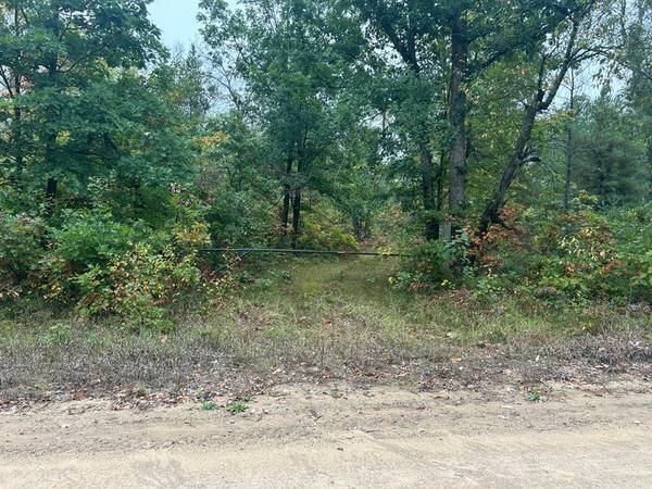 $39,000 Nicely wooded 5 acres (Baldwin)64037724569345120