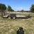 Flatbed Trailer 4 thumbnail
