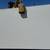 QUARTZ SLAB FOR SALE, WHITE, 127X64" 1 thumbnail