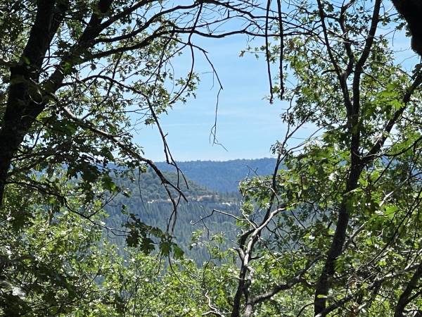 $149,000 17.26 Acres with Big Views, Gently Sloping Terrain, 20 Minutes to Town (Grass Valley)63952105427459120
