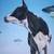 Close Encounters of The Moo Kind, Original Oil Painting 1 thumbnail