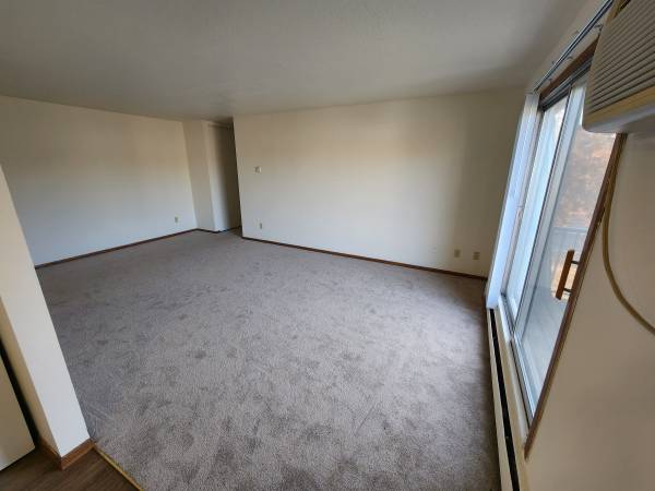 $1,150 / 1br - 650ft2 - MOVE IN THIS WEEKEND! Bright, Spacious One-Bed w/ Balcony!- Video Tour (Mounds View)63868702994179121