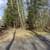 5.5 Acres on Lake Minnewawa 1 thumbnail
