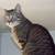 Seek temp housing for 4cats 2 thumbnail