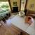 Fully Furnished Single Family Home for Temporary Rental Near Ballston Metro 4 thumbnail