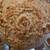 SAMOVAR 9 thumbnail