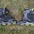 RollerBlade Zetrablade Elite US size 6 inline skates 3 thumbnail