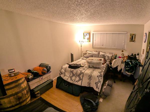 $1,250 / 2br - 925ft2 - Se busca compañero de cuarto (sunnyvale)63668061399427121