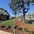Sals Landscaping Services and Maintenance 9 thumbnail