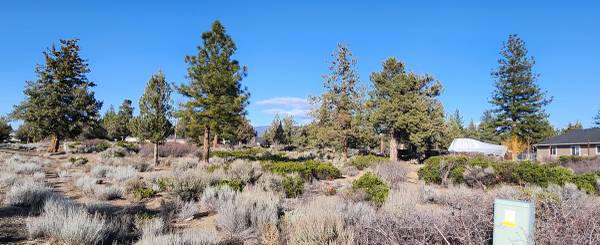 $5,200 Lot in Lake Shastina with Mount Shasta View (Lake Shastina)63678201111555122