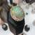 JOGS San Diego Gem, Mineral and Jewelry Show 20 thumbnail