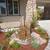 Landscaping Contractor 9 thumbnail
