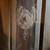 Wood House Door With Horse Carving 3 thumbnail