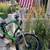 Classic, Hot Rod. Electra Rat Fink 3i, 2006, 24 inch. Electric. 3 thumbnail
