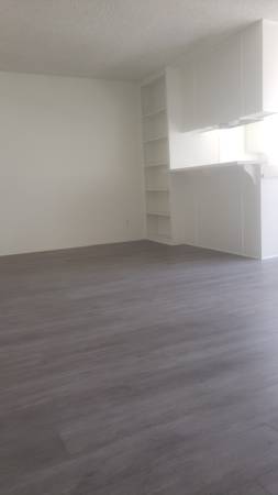$1,695 / 1br - 650ft2 - Lovely & Spacious 1+1, Laminate, Stainless-Steel Appliances, Parking (501 South Manhattan Place, Los Angels, CA)63701073654017122
