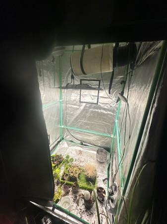 4x4 grow tent with lights, exhaust fan with temperature/humidity sensor and more 1