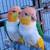 2 Caique Parrots! 1 thumbnail