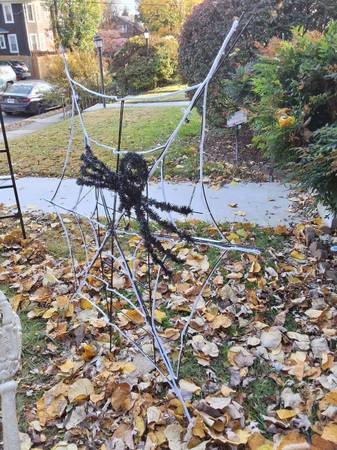 Free Laminated Halloween Spider Web 1