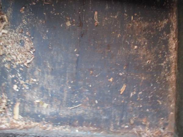 animal/reptile cage-$40 (PERKASIE)63797791898241122