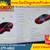 2019 Tesla Model 3 Standard Range Plus SKU:26706 Tesla Model 3 Standar 6 thumbnail