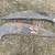 1961 chevrolet impala 61 chevy hood trunk convertible trim parts glass 14 thumbnail