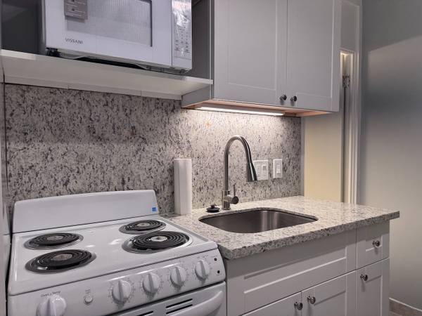 $1,650 / 300ft2 - Studio/w Bath/No Parking - Recently Renovated,Close to UH-Manoa by Bus (Waikiki)63939392490243124