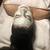 facial,massage Scalp Neck,Lash Lift,Ear Picks,brazilianwax/shave 6 thumbnail