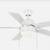 52"  "CORWIN" INDOOR/OUTDOOR CEILING FAN - ALLNEW 1 thumbnail