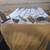 Odysssey vintage golf putters  for sale 2 thumbnail