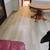 Bob's Express Carpet & Flooring 8 thumbnail