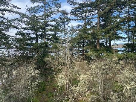 $950,000 Rare large waterfront parcel with unmatched exposure63814711569667121