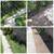 WE CUT GRASS! WE TRIM TREES/BUSHES! GENERAL LABOR WORK! AFFORDABLE PRICES! 6 thumbnail