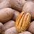 Large Pecan Nut Tree 2 thumbnail