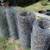 Tomorrow! Big Yard Sale in San Rafael - wonderful things! 5 thumbnail