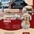 🏡 1 & 2BR Luxury Living – Modern, Spacious, & HALF-PRICE App Fee! 1 thumbnail