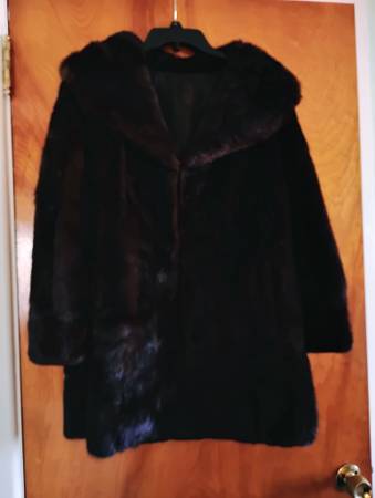 Mink Coat 1