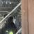 Exterior French doors 3 thumbnail