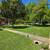Home & Lawn Services 15 thumbnail