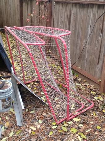 Franklin hockey nets 1