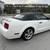 2007 FORD MUSTANG GT 5Spd MANUAL A/C FULLY LOADED CONVERTIBLE 14 thumbnail