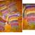 Assortment of Ladies Scarves 3 thumbnail