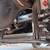 1963 vw bug unmolested project 15 thumbnail