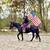 Stunning & Smooth Gaited Draft Crossbred - Rides & Drives 9 thumbnail