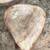 Cottonwood Round Slabs 6 thumbnail