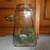 Large Glass Jar W/Bird in Nest Decoration 1 thumbnail