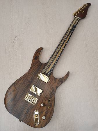 Custom made eletric guitar 1